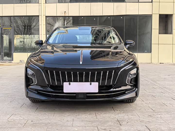 Фото 2 - Hongqi E-QM5