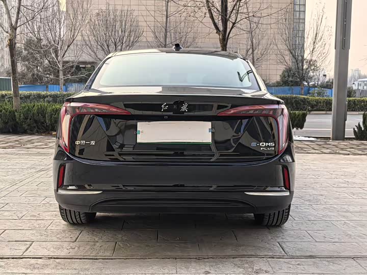 Фото 8 - Hongqi E-QM5