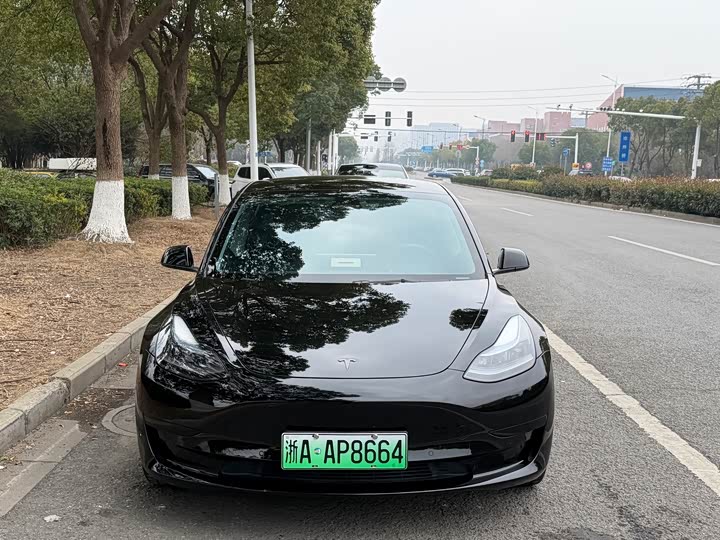 Фото 2 - Tesla Model 3