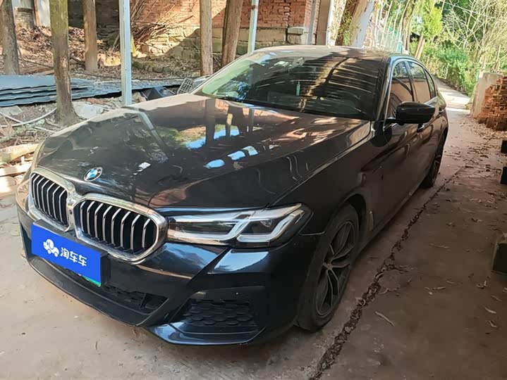 Фото 1 - BMW 5 Series Hybrid