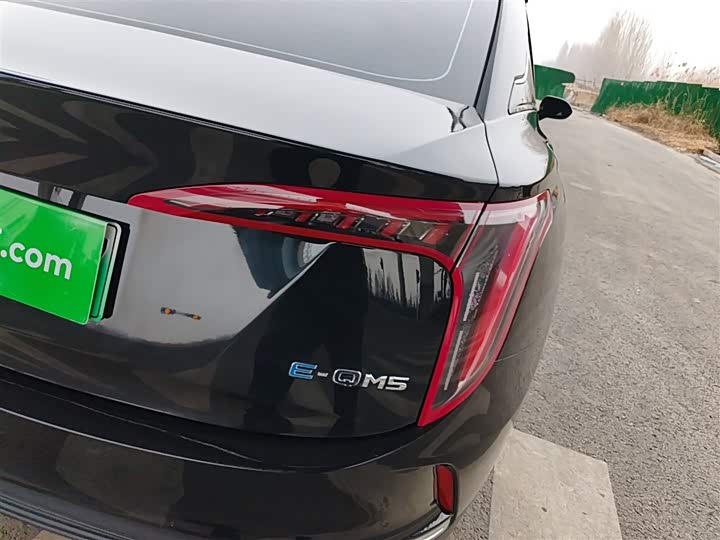 Фото 8 - Hongqi E-QM5