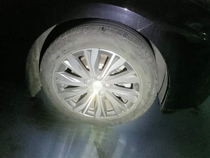 Фото 6 - Hongqi E-QM5