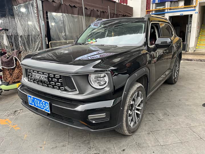 Фото 1 - Haval H-Dog