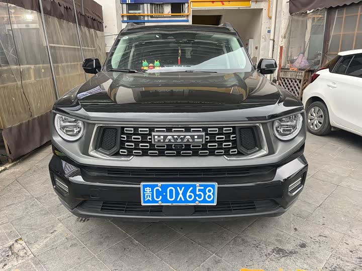 Фото 2 - Haval H-Dog