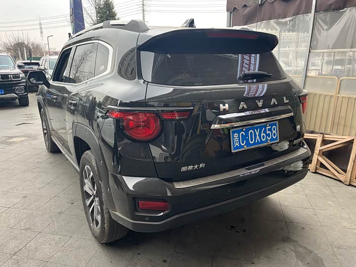 Фото 4 - Haval H-Dog