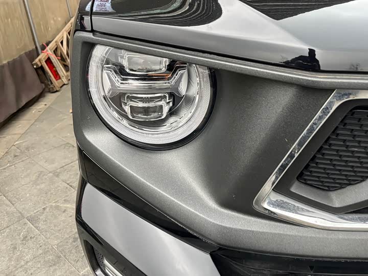 Фото 7 - Haval H-Dog