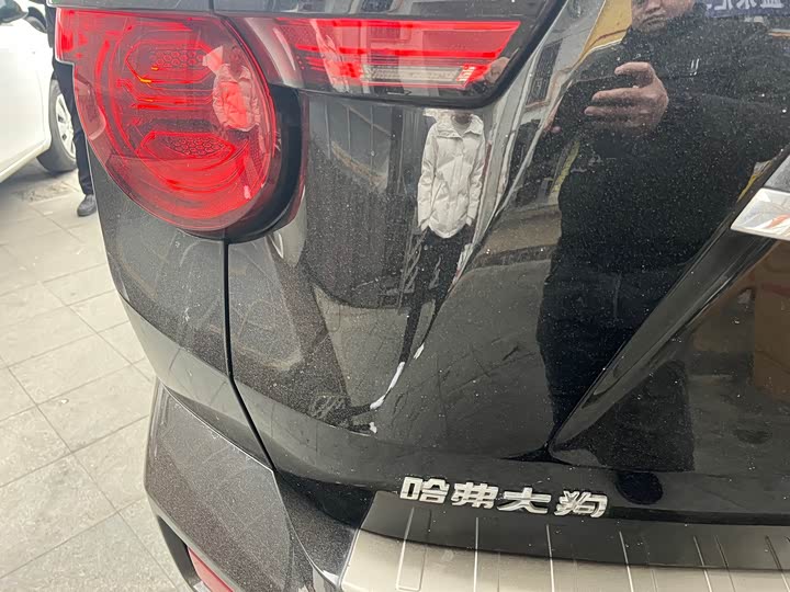 Фото 9 - Haval H-Dog