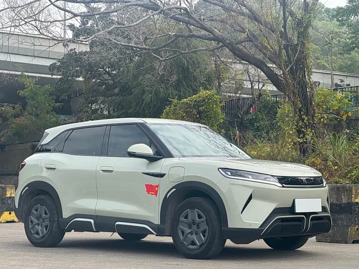 Фото 2 - BYD Yuan Up