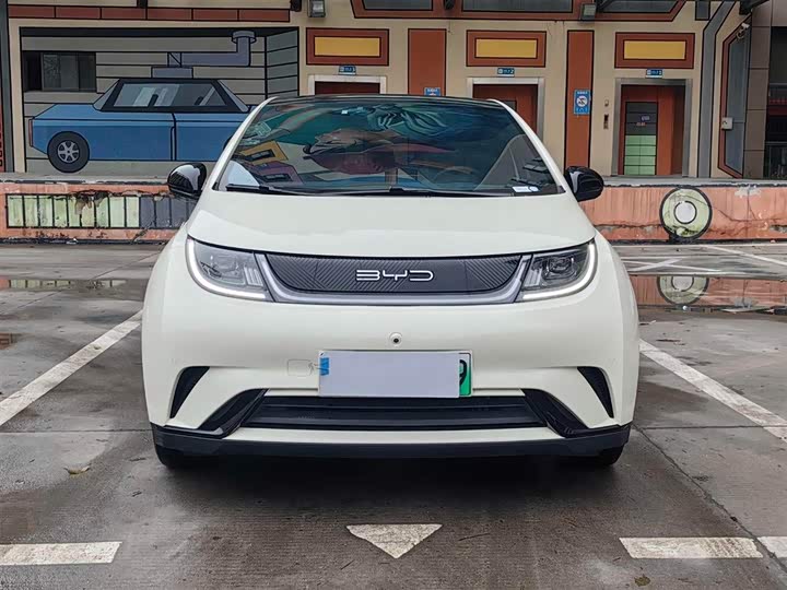 Фото 2 - BYD Dolphin