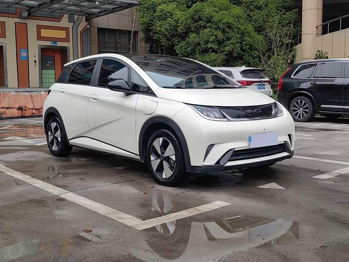 Фото 3 - BYD Dolphin