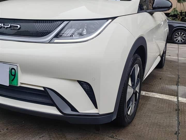 Фото 4 - BYD Dolphin