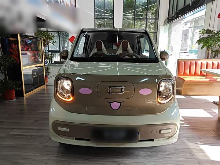 Фото 3 - Bestune Pony