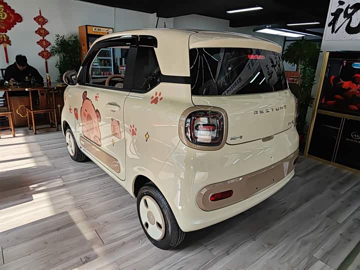 Фото 5 - Bestune Pony