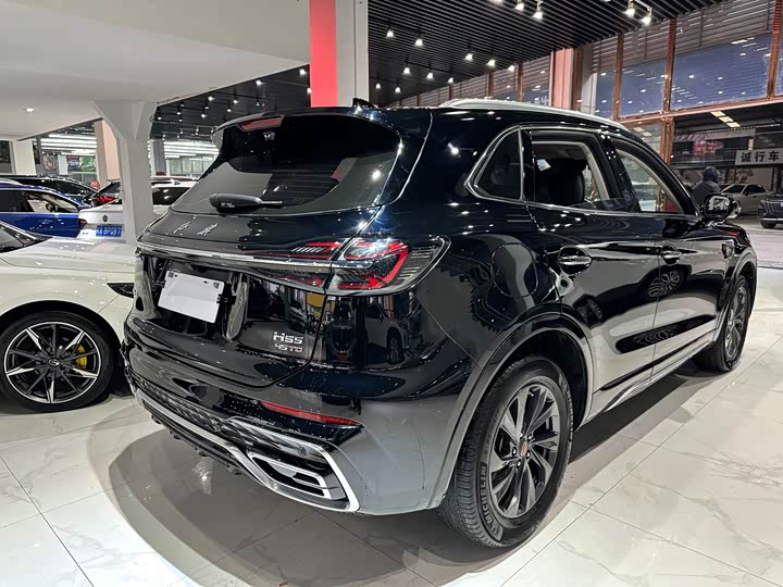 Фото 4 - Hongqi HS5