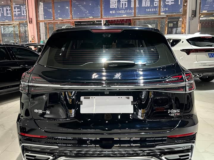 Фото 5 - Hongqi HS5