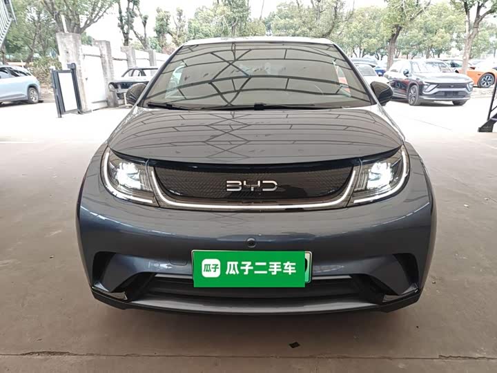 Фото 3 - BYD Dolphin