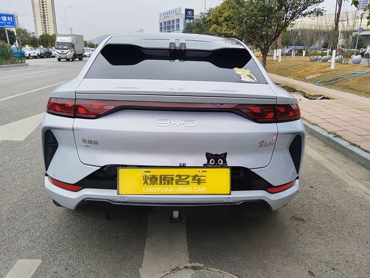 Фото 3 - BYD Song L