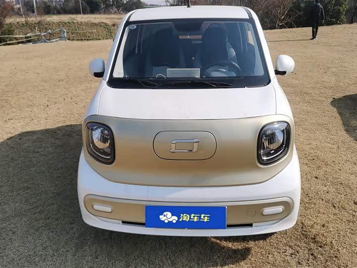 Фото 2 - Bestune Pony