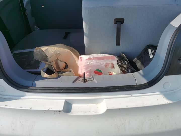 Фото 4 - Bestune Pony