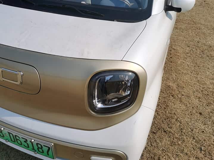 Фото 5 - Bestune Pony