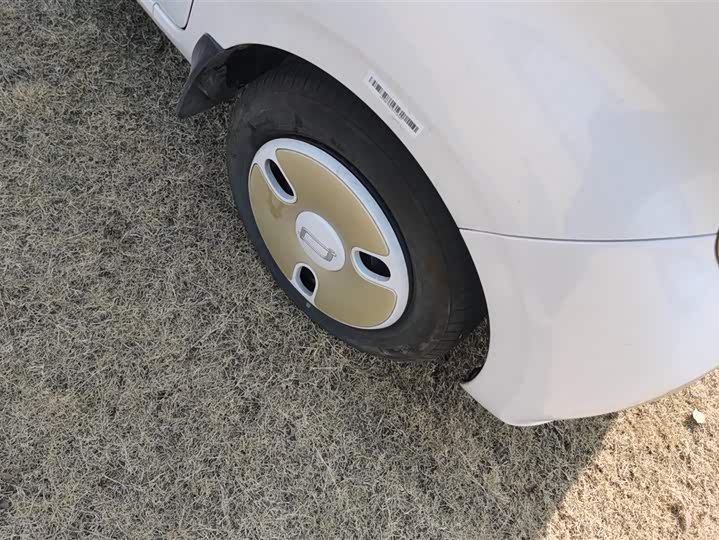 Фото 6 - Bestune Pony