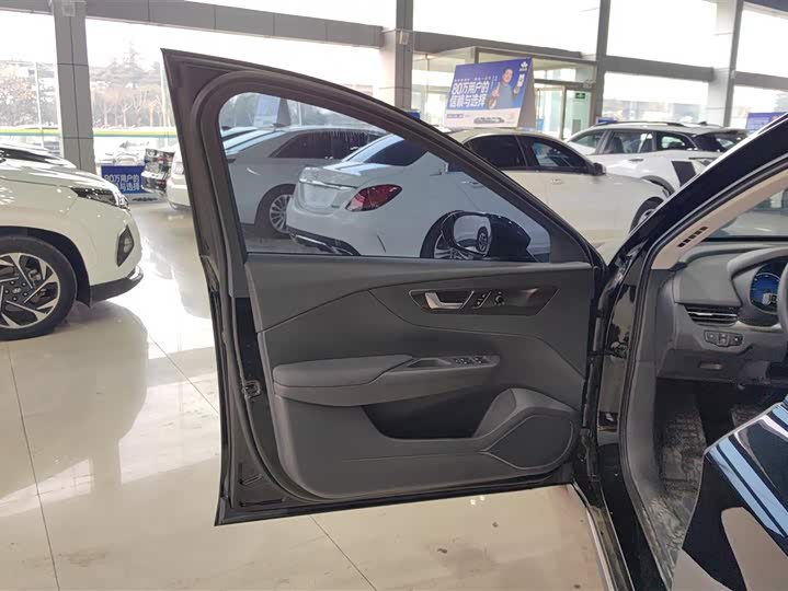 Фото 7 - Hongqi E-QM5