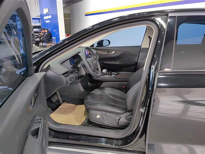 Фото 9 - Hongqi E-QM5