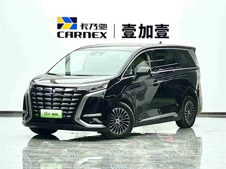 Фото 1 - Denza D9