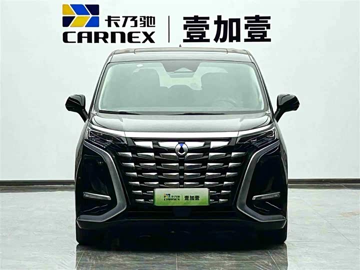 Фото 2 - Denza D9