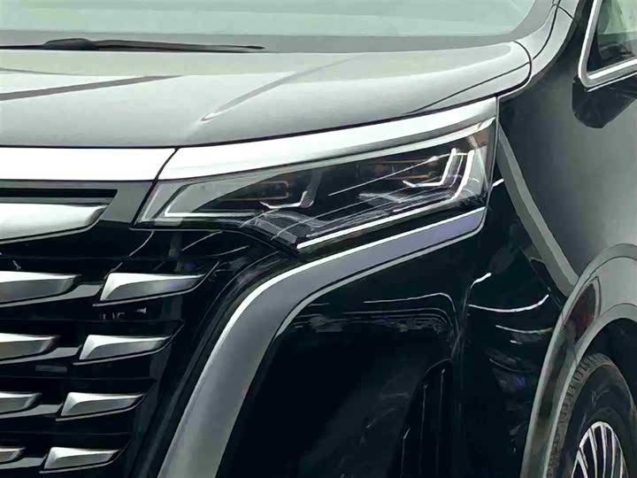 Фото 3 - Denza D9