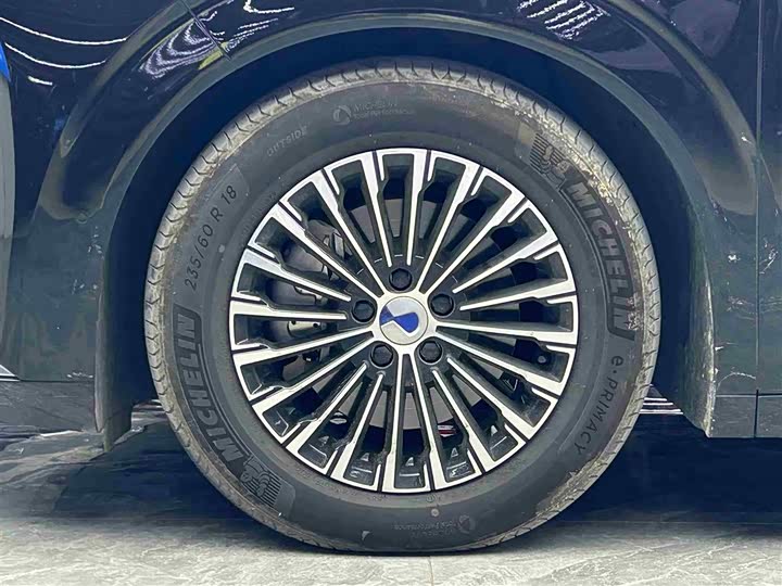 Фото 4 - Denza D9