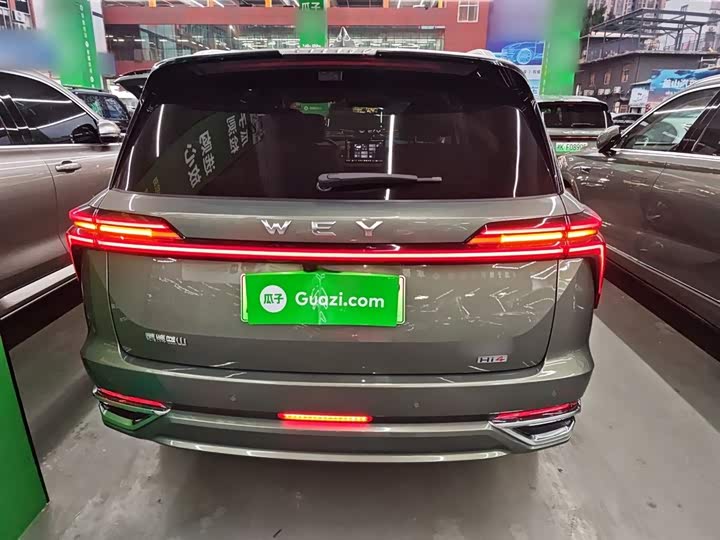 Фото 6 - Wey Lanshan