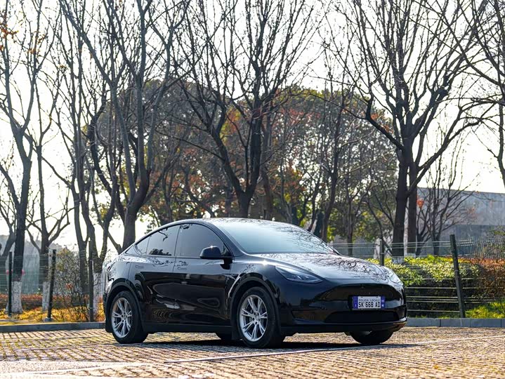 Фото 3 - Tesla Model Y