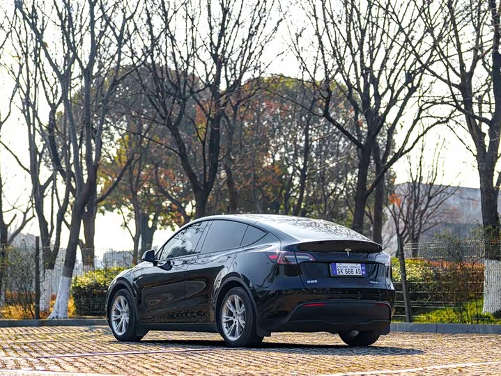 Фото 6 - Tesla Model Y