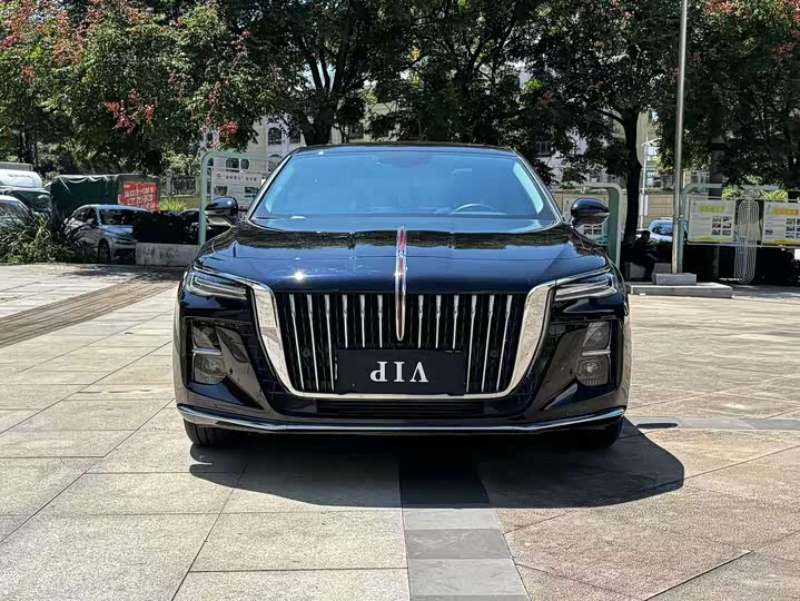 Фото 2 - Hongqi H5