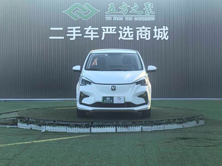 Фото 2 - Changan BenBen E-Star