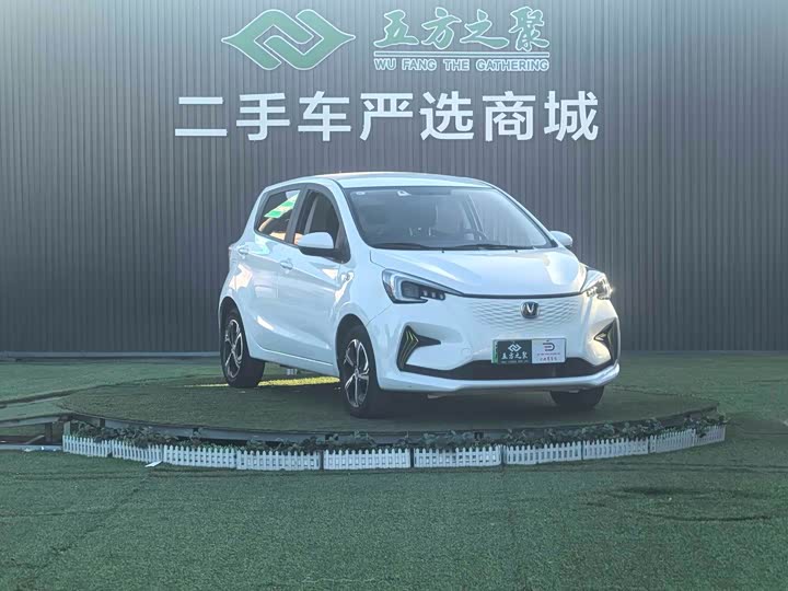 Фото 3 - Changan BenBen E-Star