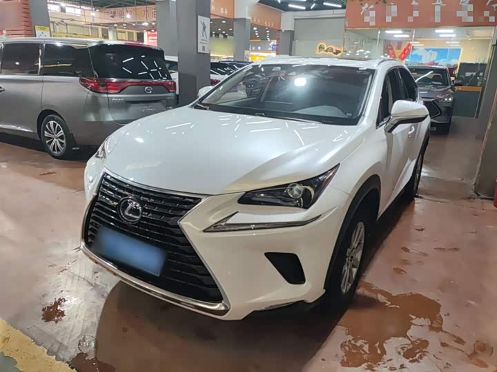 Фото 1 - Lexus NX