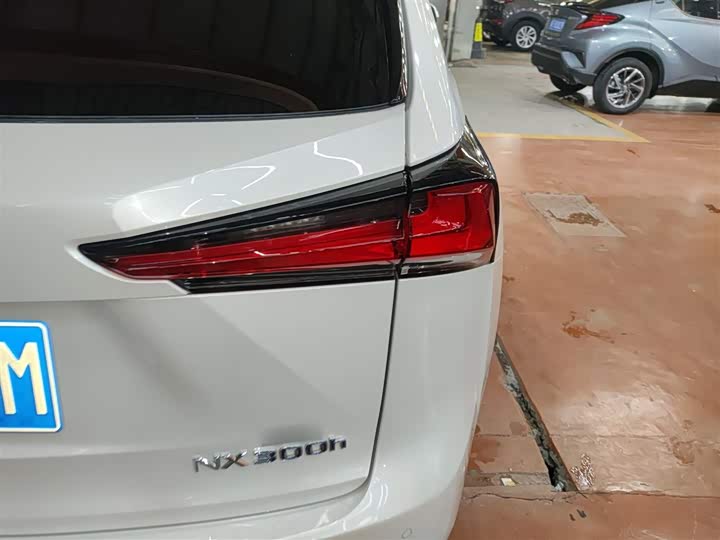 Фото 8 - Lexus NX