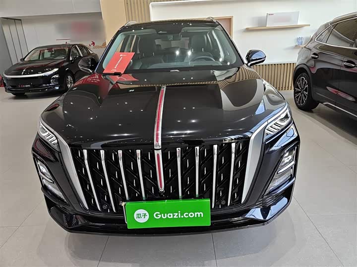 Фото 3 - Hongqi HS5