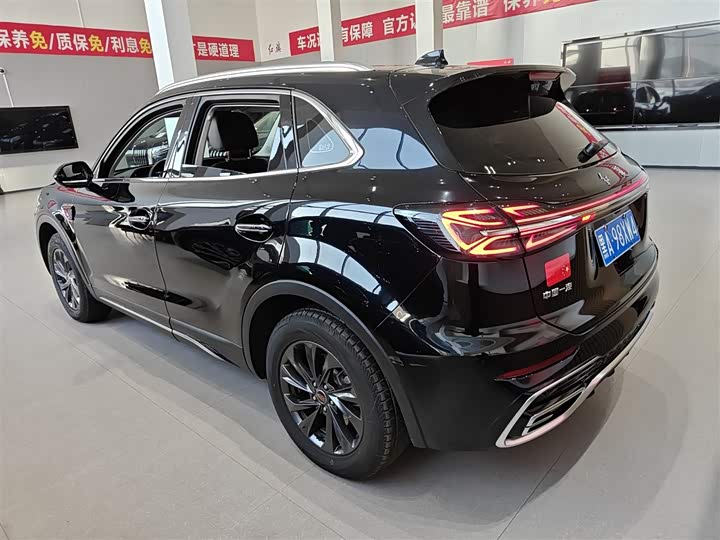 Фото 5 - Hongqi HS5