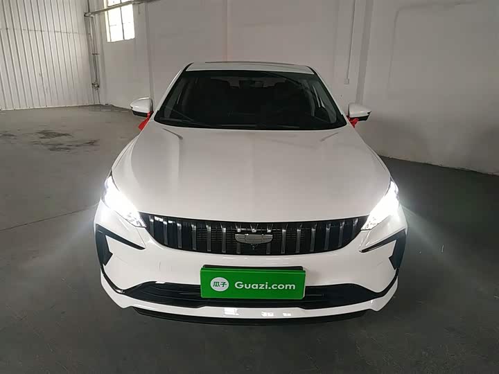 Фото 3 - Geely Binrui