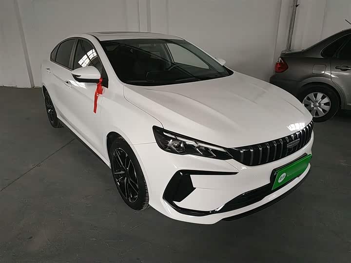 Фото 4 - Geely Binrui