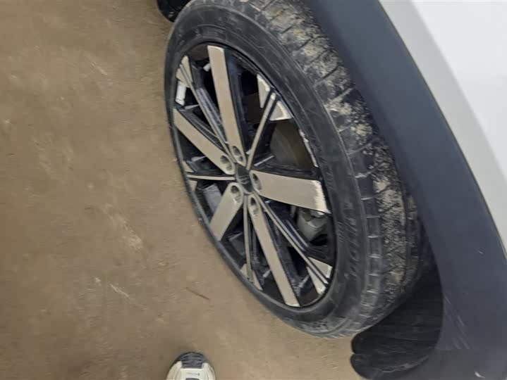 Фото 6 - Geely Icon