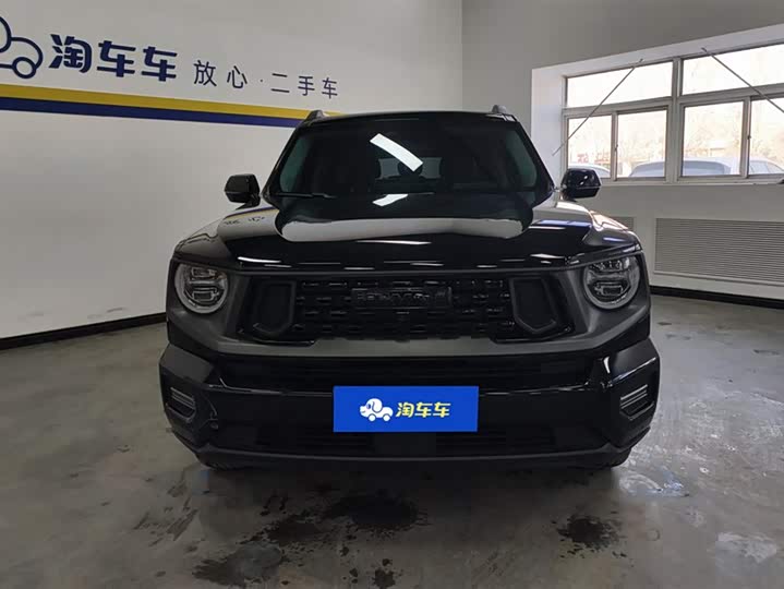 Фото 2 - Haval H-Dog