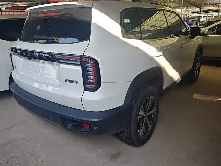 Фото 3 - Haval Dargo