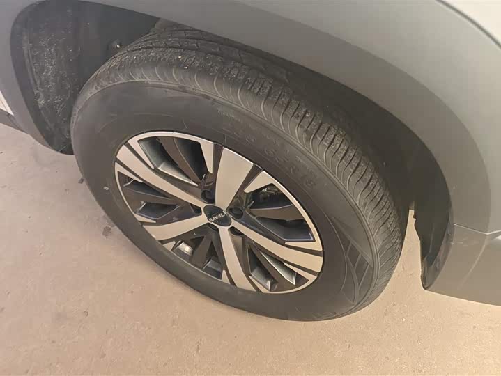 Фото 6 - Haval Dargo