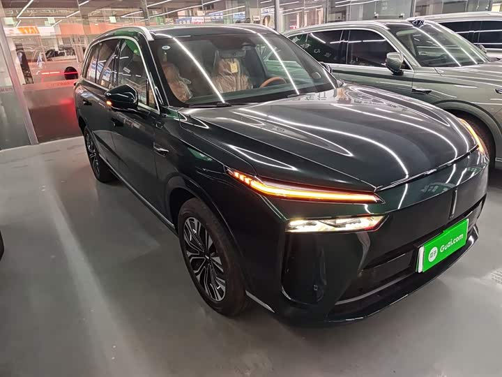 Фото 4 - Wey Lanshan