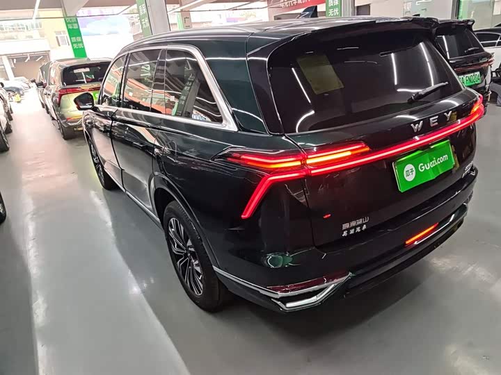 Фото 5 - Wey Lanshan