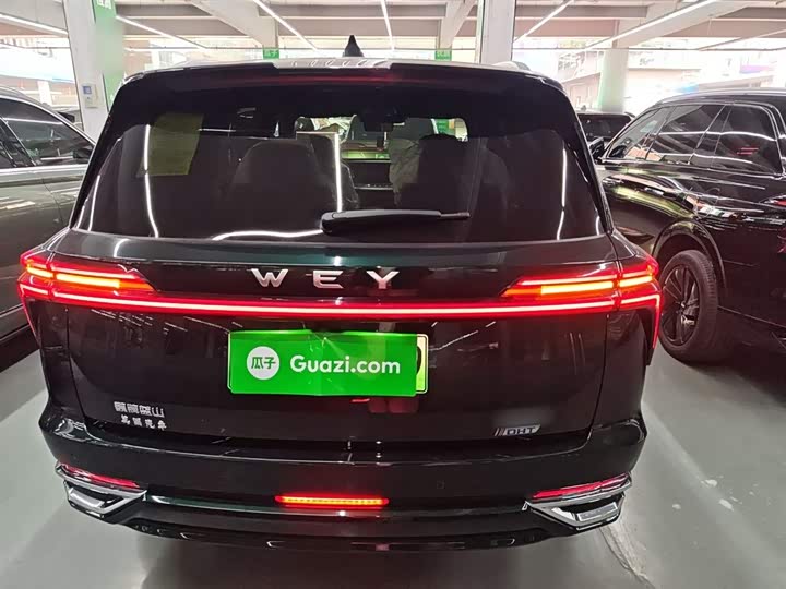 Фото 6 - Wey Lanshan